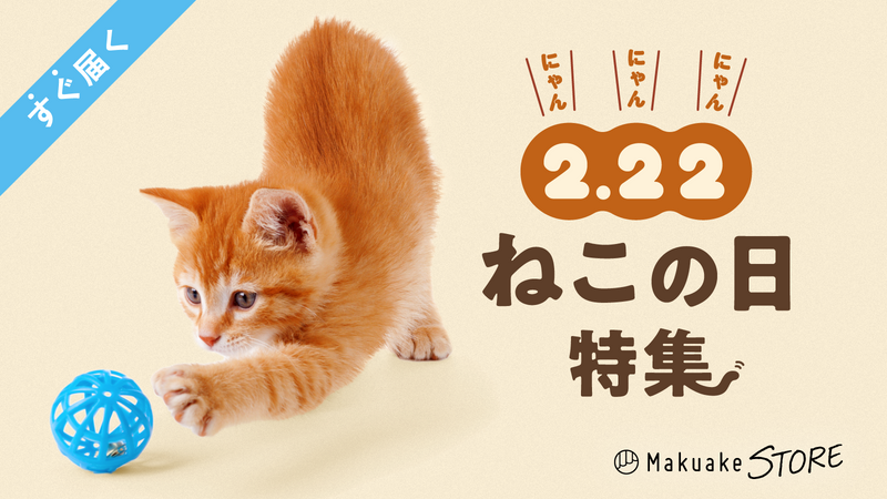 2.22 ねこの日特集