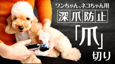 ワンちゃん、ネコちゃんの爪切りの悩みを瞬時に解決。誰でも簡単・安全に爪が切れる!