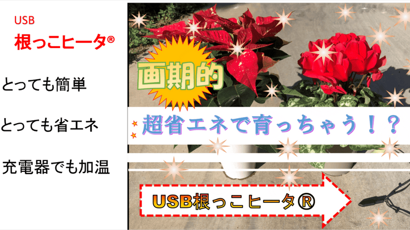 根っこ付近に挿すだけで超簡単、鉢花や植物栽培に超省エネ『根っこヒータ』新発売!!