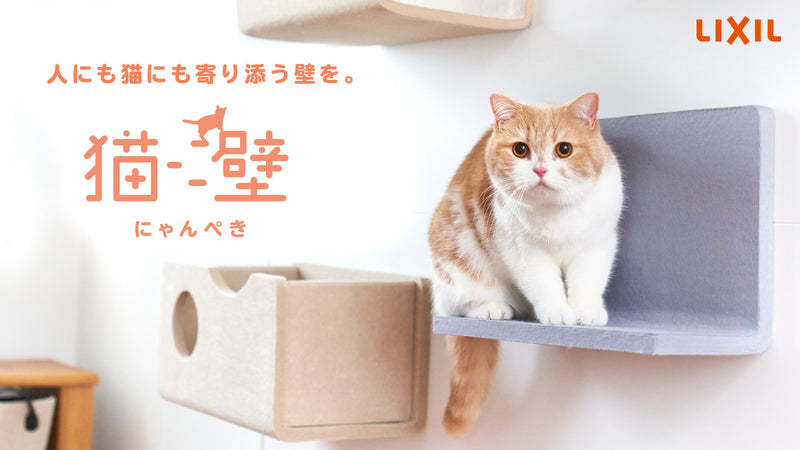 性格や年齢に合わせ着脱自由!LIXILのキャットウォール「猫壁(にゃんぺき)」