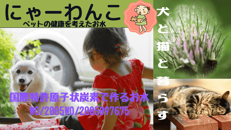 ペットの健康を考えたお水「にゃーわんこ」