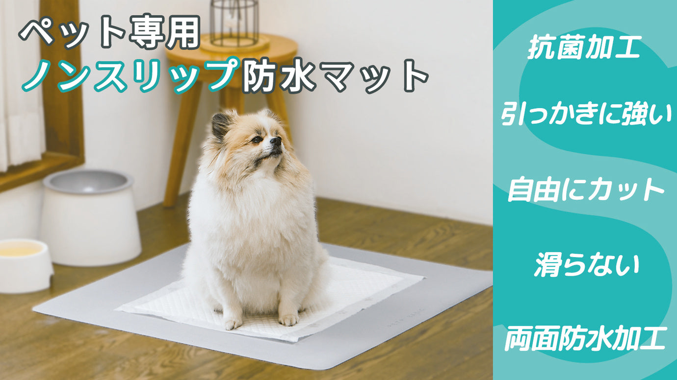 老犬や足の弱い愛犬でも安定した姿勢を保てる！ペット専用ノンスリップ