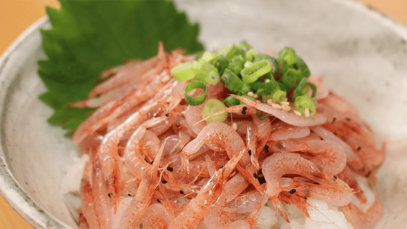 駿河湾の宝石、桜えび。小さな食堂さくらやの名物、新鮮な「生桜えび丼」をご自宅で!