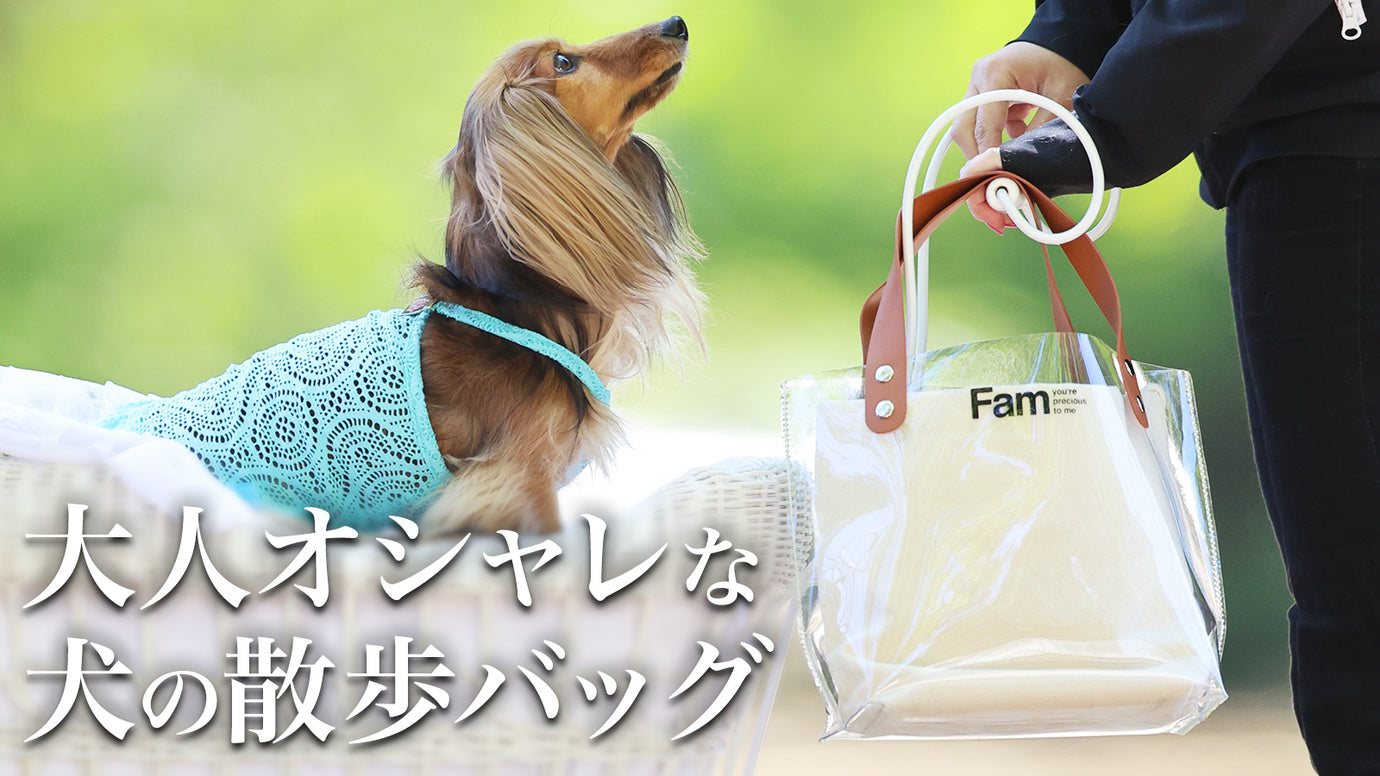 愛犬とのお出かけを「愛犬とデート」にアップデートするオシャレな犬の