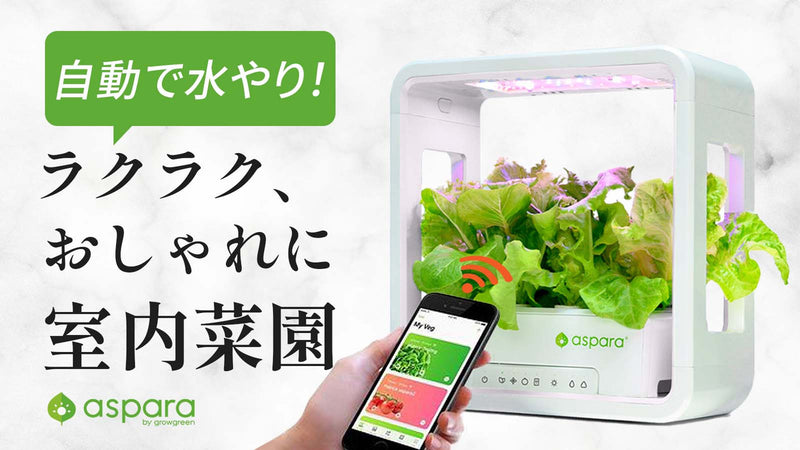 家庭菜園デビューに!特許技術でグングン成長!30日で収穫【室内用水耕栽培キット】