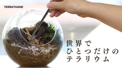 自由自在に加工して水槽に入れられる、テラリウム用ウレタン製基盤材「テラタン」