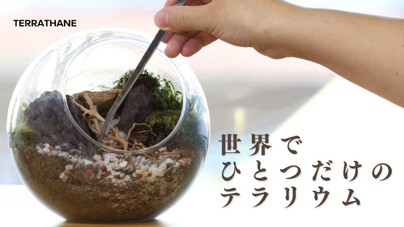 自由自在に加工して水槽に入れられる、テラリウム用ウレタン製基盤材「テラタン」