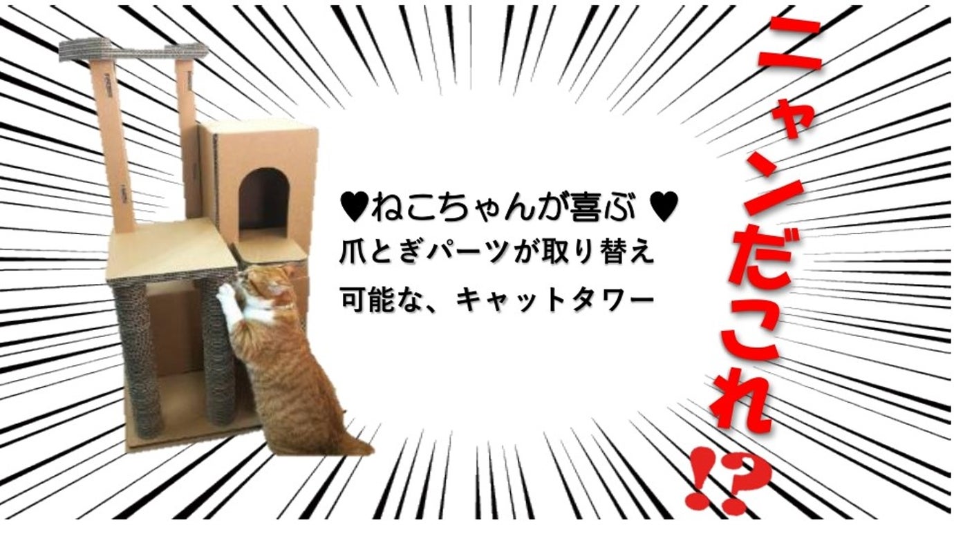 段ボール屋さんがつくった、爪とぎもできる『地球にやさしいキャット 