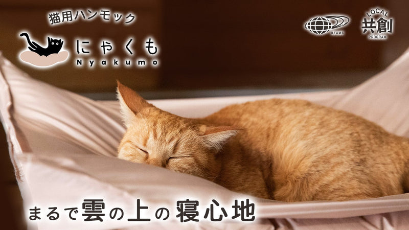 まるで雲の上の寝心地 布団屋が作った猫用ハンモック「猫雲(にゃくも)」