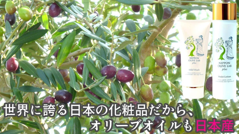 【オリーブの力をお肌に!】 国産オリーブスキンケアで潤い肌を目指しませんか