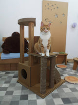 段ボール屋さんがつくった、爪とぎもできる『地球にやさしいキャットタワー』