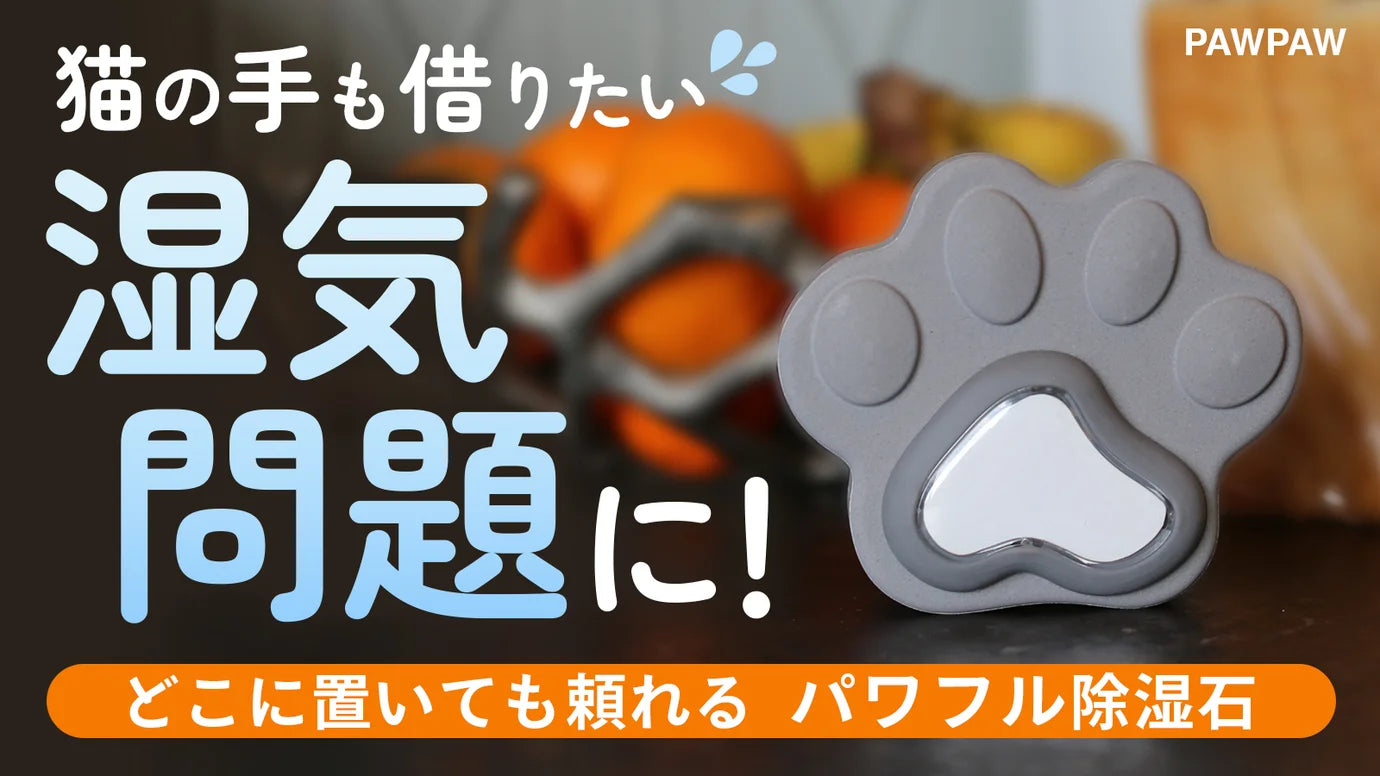 3個セット_【湿気も臭い対策もこれ一つ!】かわいくて頼れる、何度でも使えるパワフルな除湿石