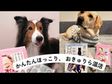 火を使わない!無煙無臭!水で温まるやさしいお灸でペットと共に温活生活!