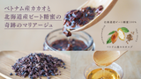 カカオニブオリゴ×3個セット 100g×3