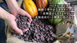 カカオニブオリゴ×3個セット 100g×3