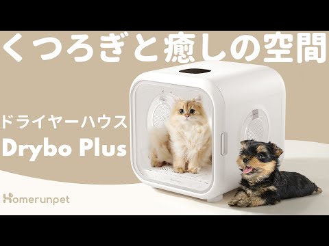 カラーホワイトHomerunpet Drybo Plus ペットドライヤーハウス