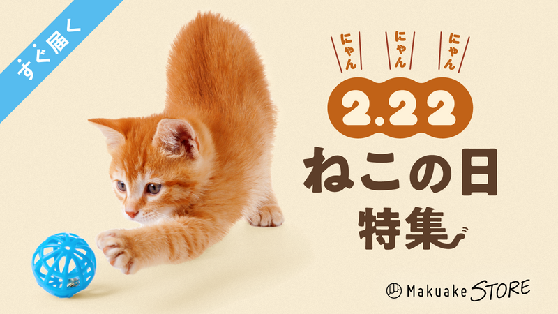 ２.２２ ねこの日特集