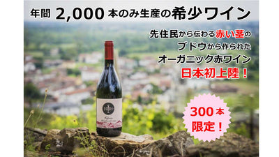 イタリア産　先住民から伝わるブドウから作られたオーガニック赤ワイン　日本初上陸！