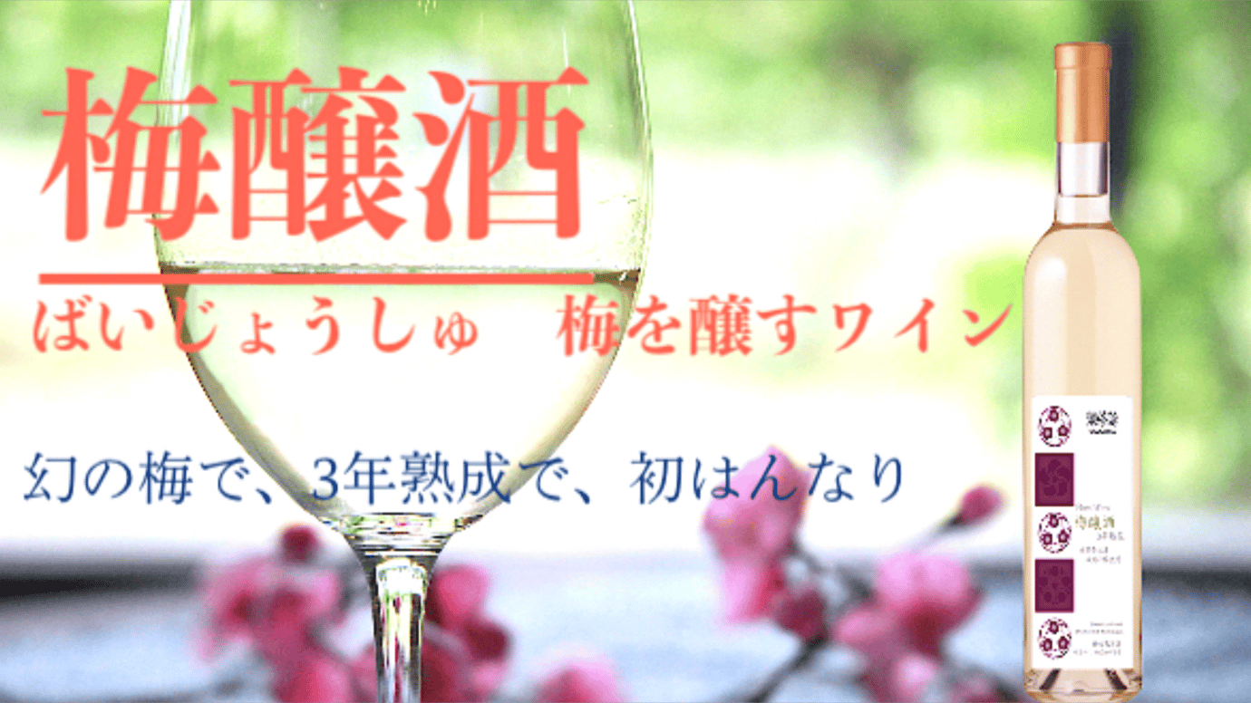 【年末年始お家でゆったり】幻の「城州白」、3年熟成の梅ワイン、限定で小売初登場