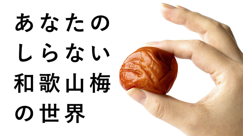 【和歌山梅400年の集大成】本気の梅を味わう「日本一の梅」味くらべセット！