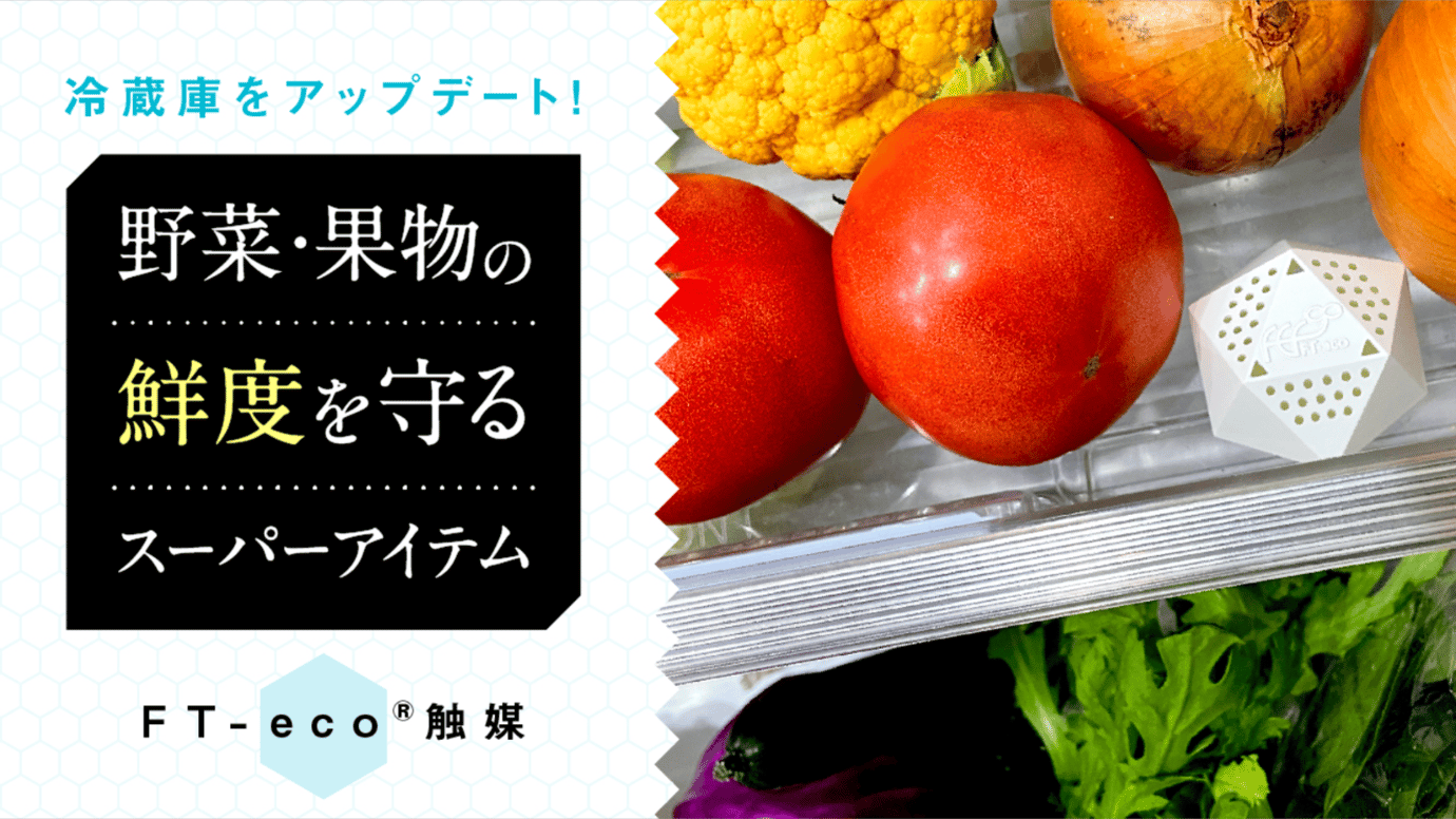 冷蔵庫をアップデート｜野菜・果物の鮮度を守るスーパーアイテム[FT-eco触媒]