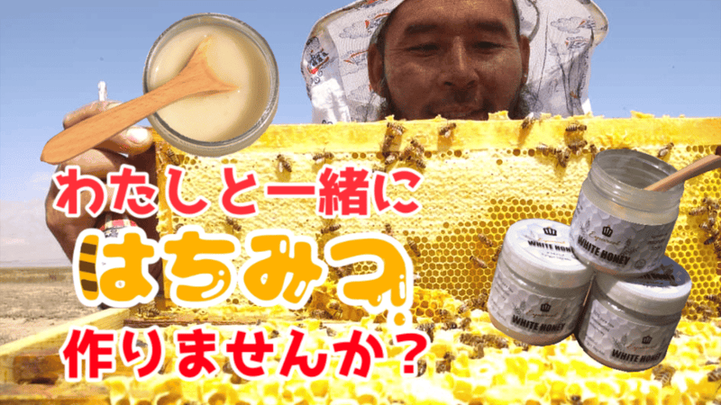 【新品24本まとめ売り】幻のキルギス白蜂蜜