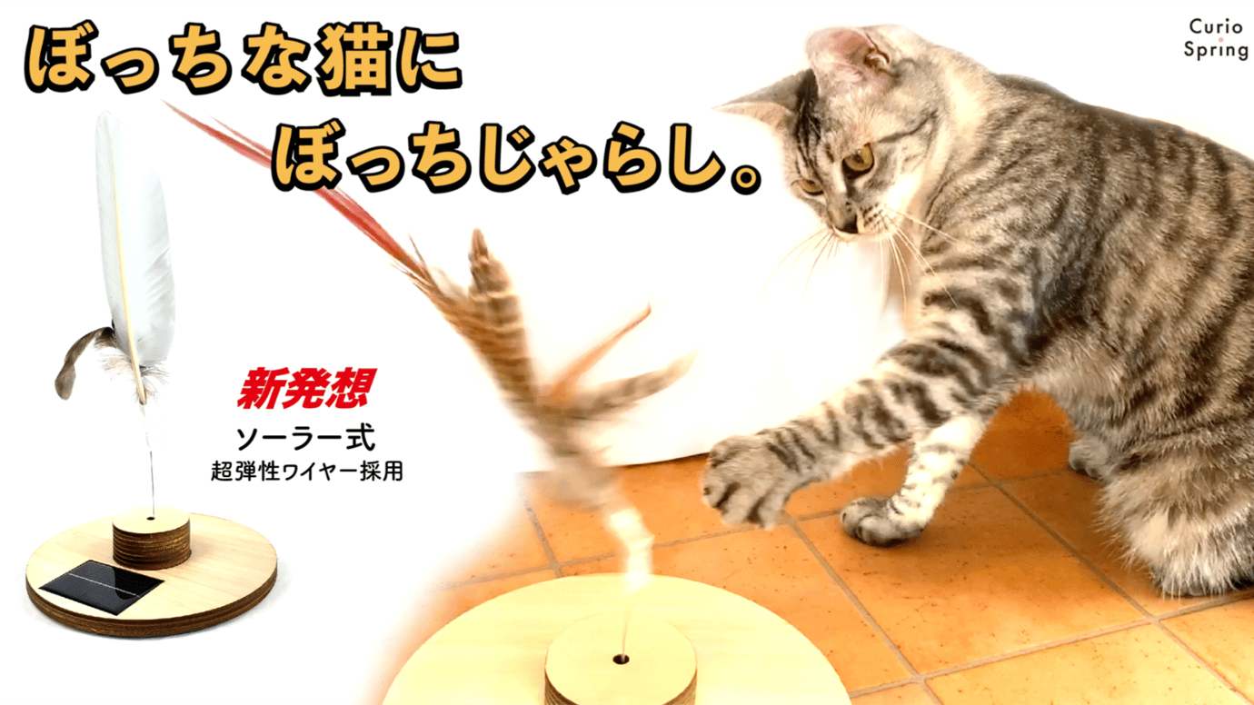 あなたの猫を「ぼっち」から救う！ソーラーでエコに遊ぶ【ぼっちじゃらし】誕生！