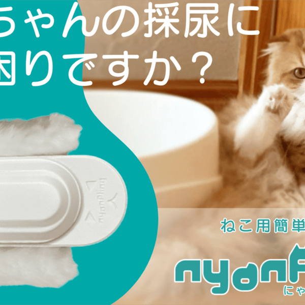 バラ売りいたします 。ねこ用簡単採尿器 獣医師推奨