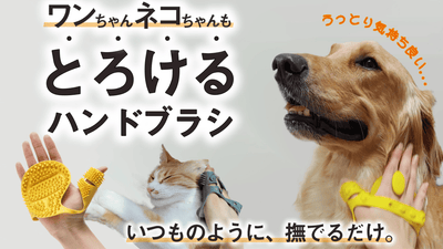 愛犬、愛猫に温かいぬくもりを！ペット用ハンドブラシ