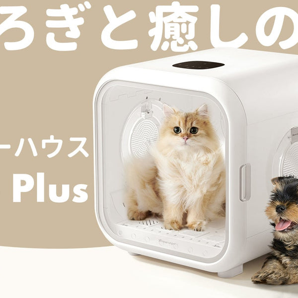 レビュー高評価の商品 drybo plas ペットドライヤー ドライボプラス 猫用品 PRIMAVARA