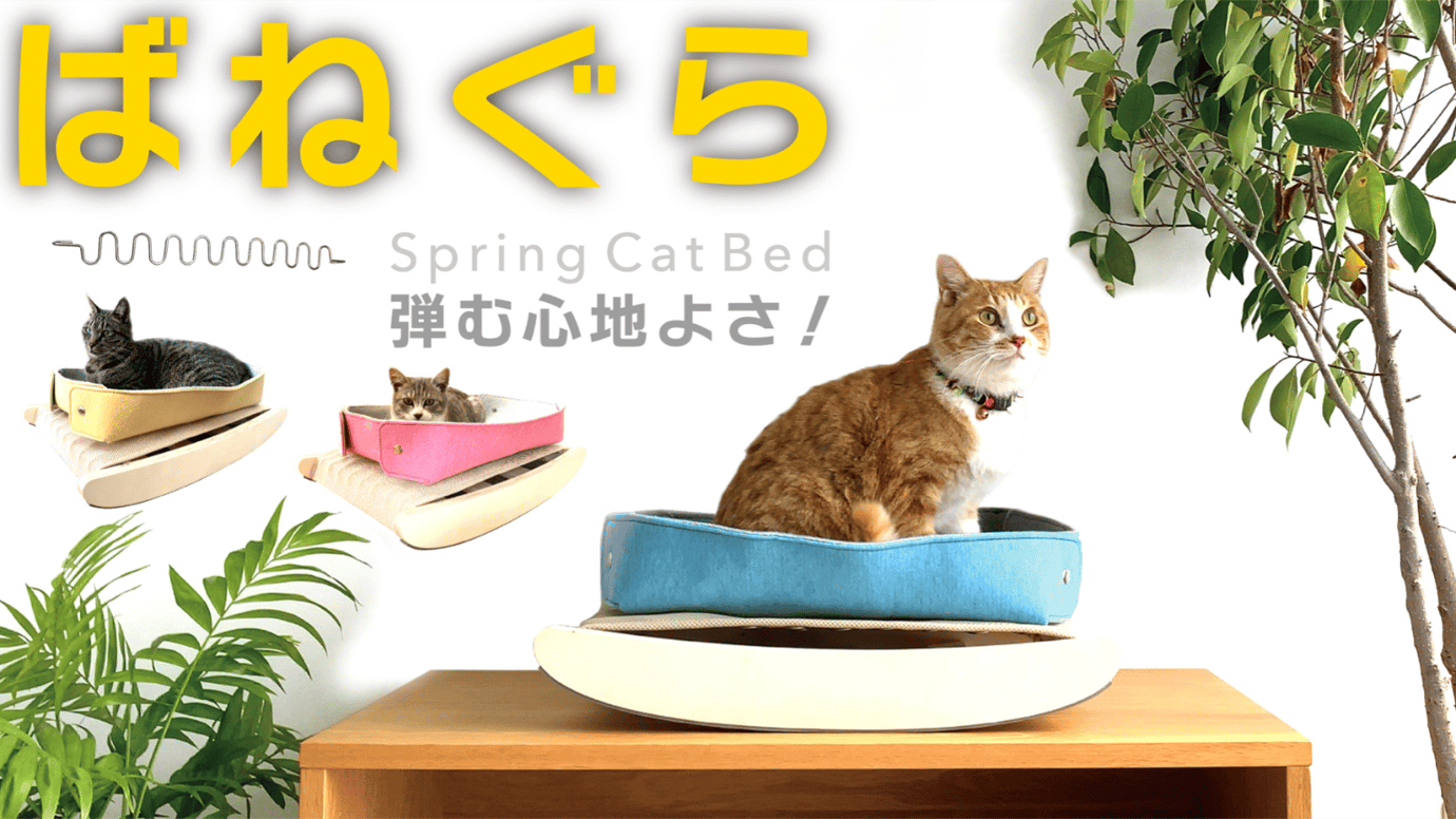 あなたの猫のベッドがもっと快適に清潔になる！ばね × ねぐら「ばねぐら」誕生。