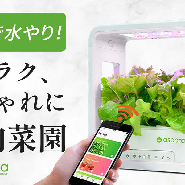 家庭菜園デビューに！特許技術でグングン成長！30日で収穫【室内用水耕