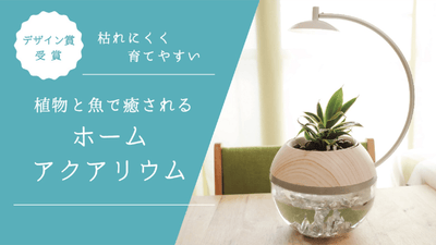 【デザイン賞受賞】植物と魚で癒されるアクアリウム。植物の成長を促すLEDライト