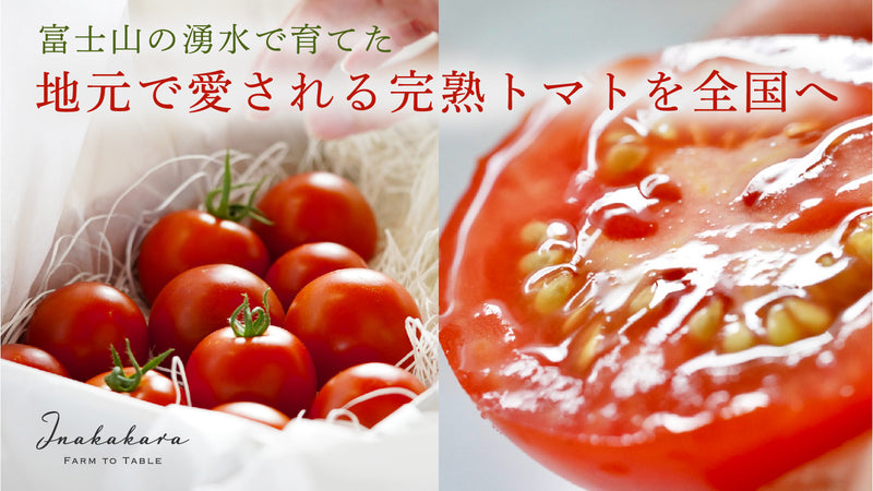 連日地元客で賑わう向山さんの「完熟トマト」を全国に届けたい