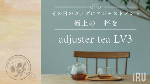 【日々の健康を快適に】家族でシェアする和漢烏龍茶（キャンドルブッシュ25%配合）