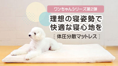 ワンちゃんシリーズ第2弾！理想の寝姿勢に“整える”犬用体圧分散マットレス