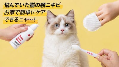 医師、韓医師、獣医師が共同開発した、お家で簡単にできる猫のニキビケア３種セット！