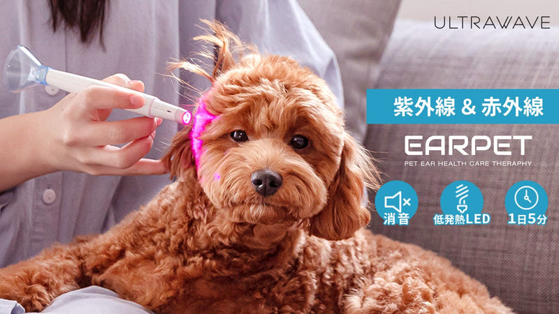 痛みも、音も、熱も無い光を使ったペット健康維持の毛並みケア「EARPET」