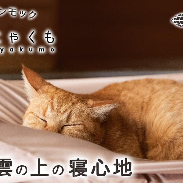 まるで雲の上の寝心地 布団屋が作った猫用ハンモック「猫雲（にゃくも