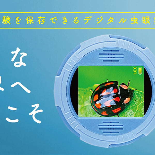 main_40159_600x600_crop_center