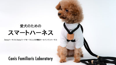 ［ラクラク着用］わんちゃんに優しいオールインワンハーネス