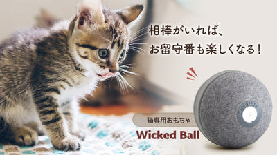 猫ちゃんワクワク！遊んでくれるネコ専用自動ボール。もう留守番も寂しくニャイもん！
