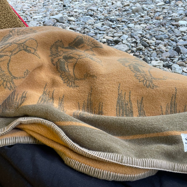 1685450327822_51610ae0-2cb3-