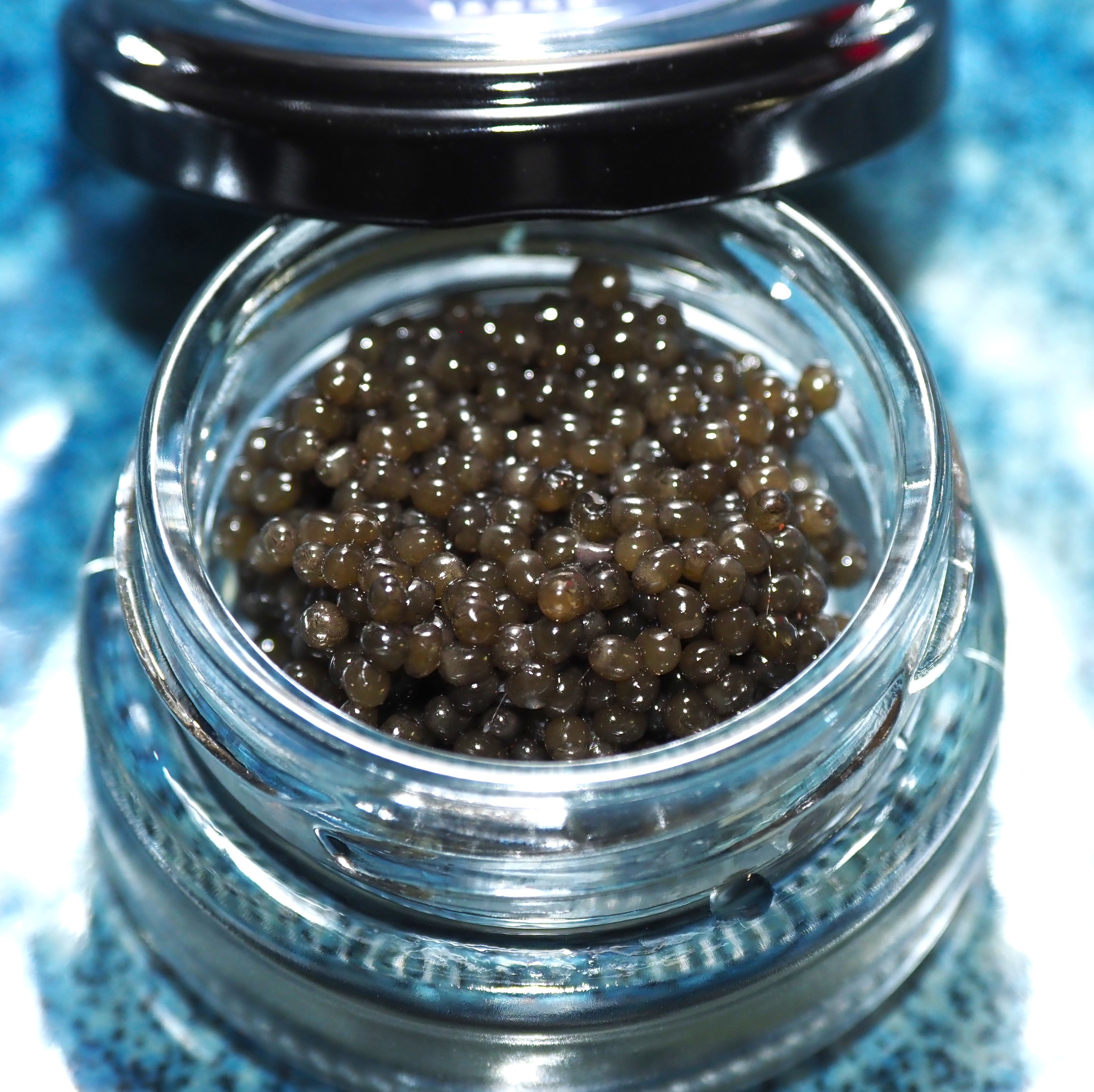 黒耀キャビア15g入りフレッシュ急速冷凍 ～ Obsidian Caviar ～