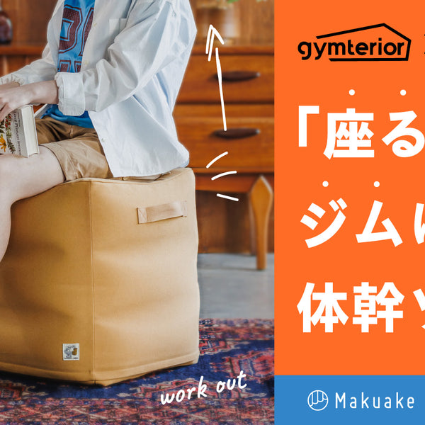 【美品】＆MEICAL バランスボールチェア Amazon.co.jp: バランスボール姿勢チェア、オフィスデスク