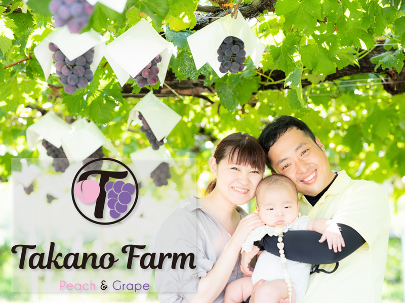 キャンペーン10％OFF　藤稔　約1.5㎏※8月中旬頃発送※　(送料込)※北海道、九州、沖縄は除く