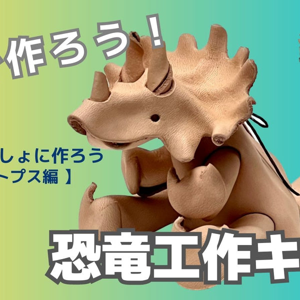 恐竜  ハンドメイド   手さげ 1692583608908_047ca8b5-416e-