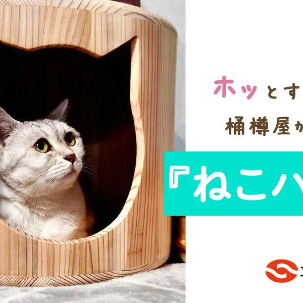 まいたけページ 商品 – 319ページ目 – Makuake STORE