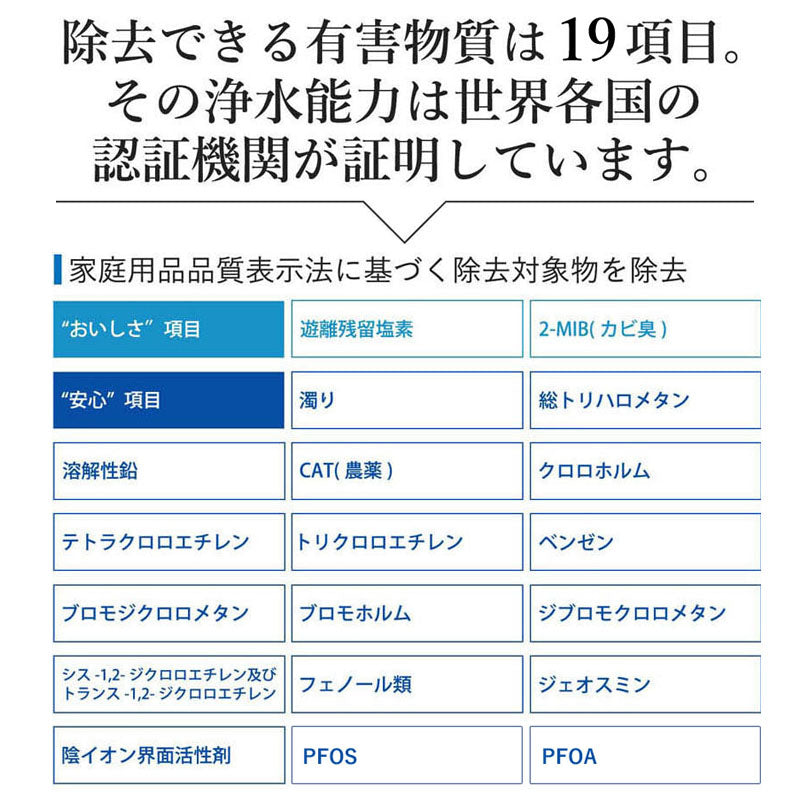 ビューク8年タイプ（逆流洗浄付き）/00000171