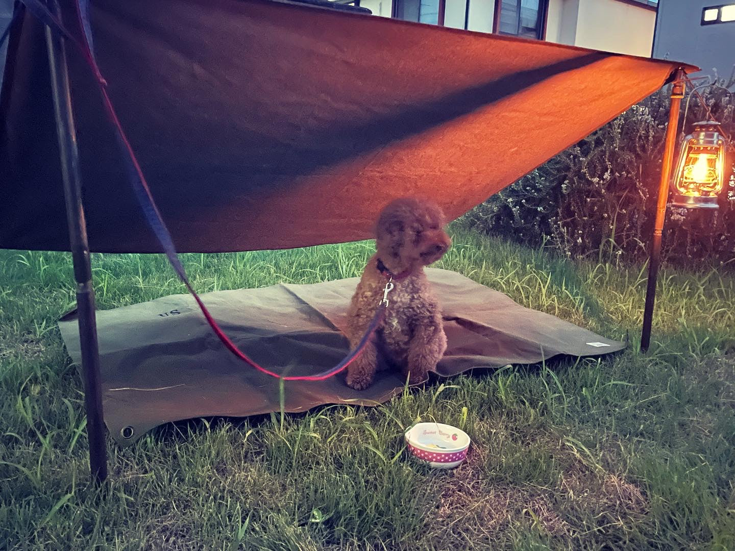 超簡単】どこでも使えて、どこでもcafe気分が味わえる。高性能なミニタープ！！